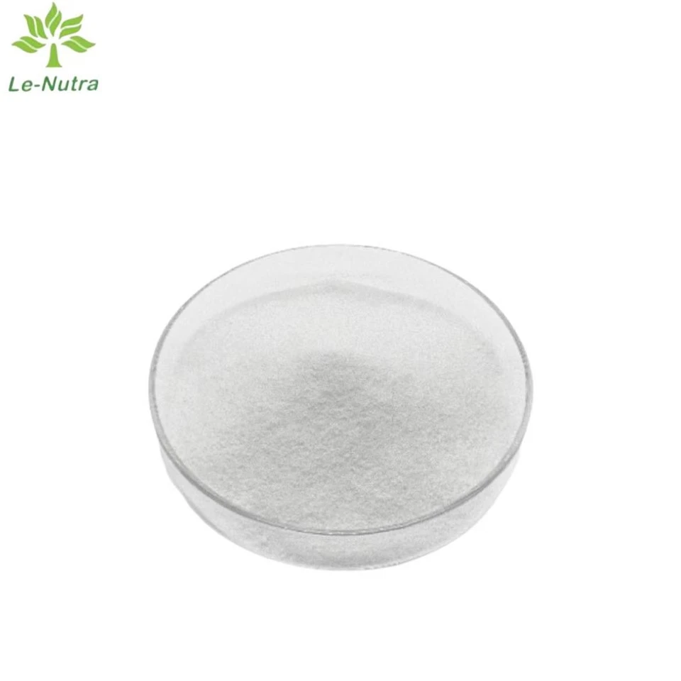 Pure Lysine Powder